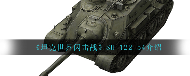 张蔷老公咸国坤是干什么的(张蔷老公的简介)