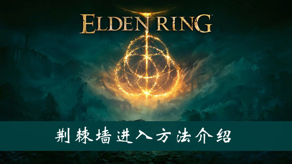 鞋子进化3D