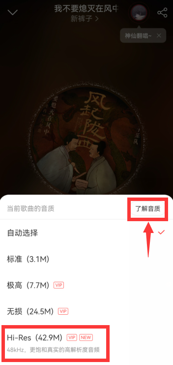 新婚派对免广告
