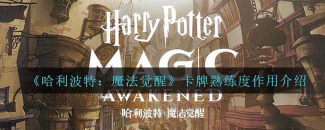 《艾尔登法环》红琥珀链坠护符获得方法介绍
