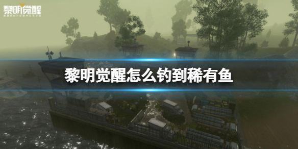 艾尔登法环全地图碎片位置介绍