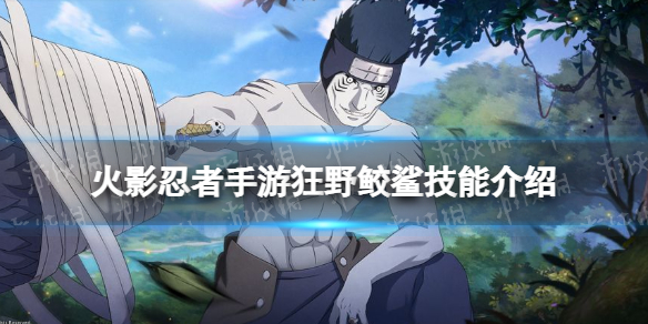 金橘子有什么功效和作用？(常吃它的惊人好处)