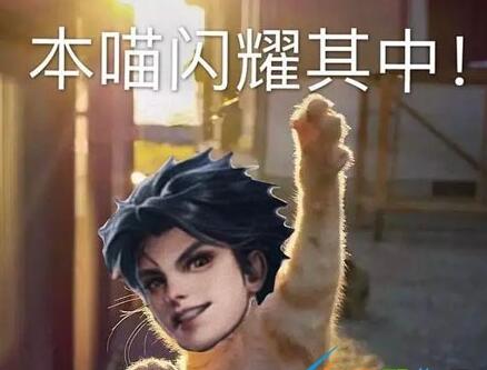 咸鱼之王6400关通关攻略