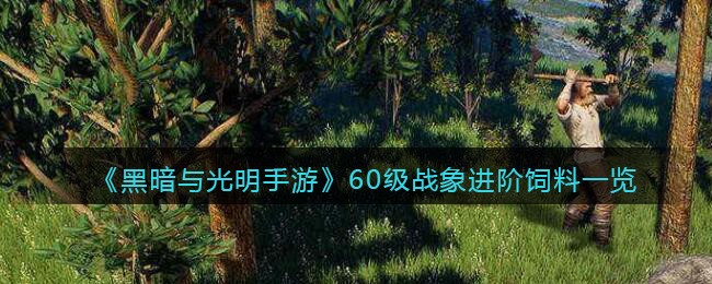 光遇2.24熊抱先祖复刻位置一览