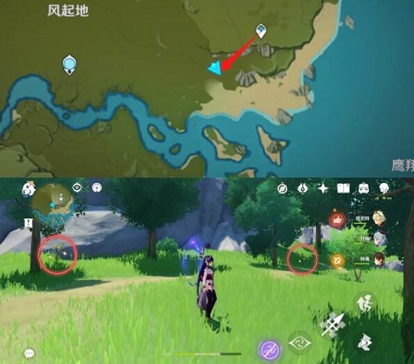 色多多app入口下载