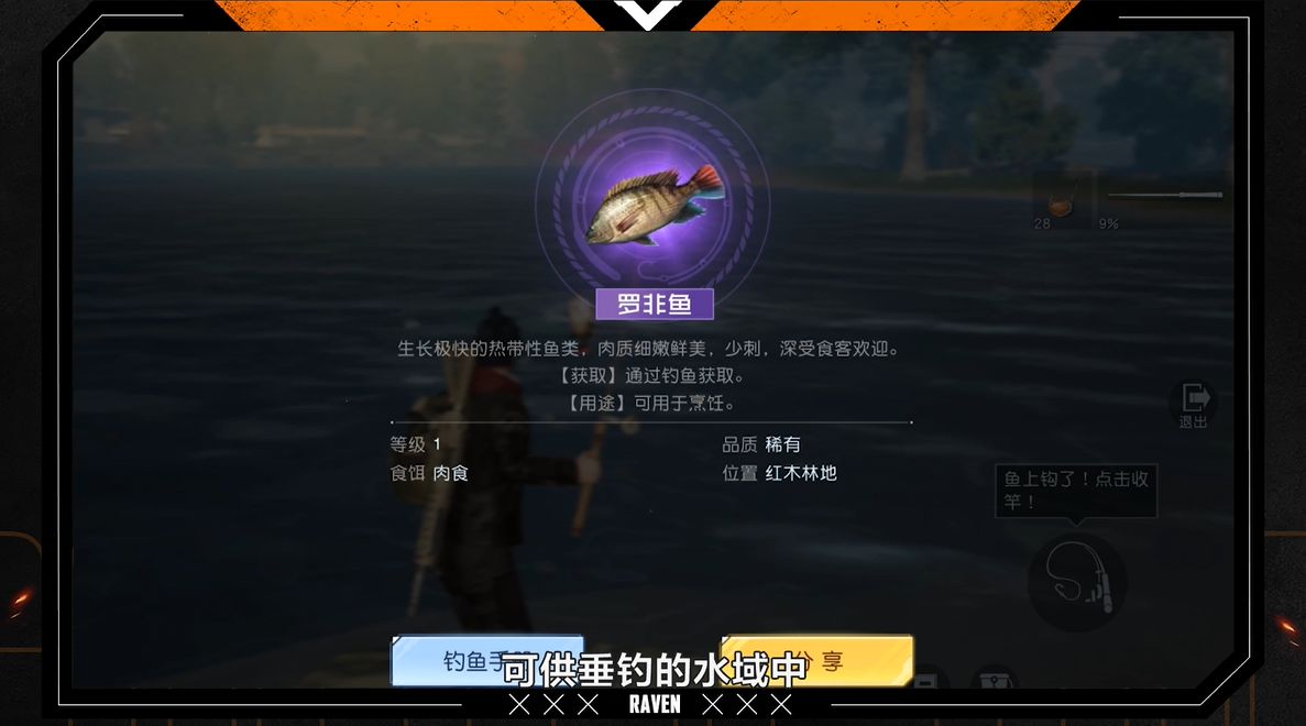 艾尔登法环全地图碎片位置介绍