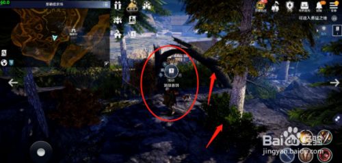 《洛克王国》踏云蹦影配招推荐
