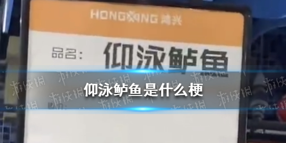 ipad下面的白色横条怎么关闭