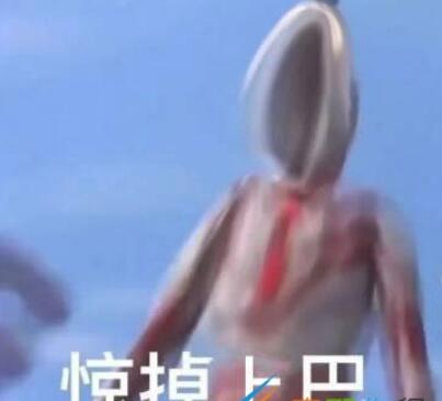 太荒初境紫灵花采集方法