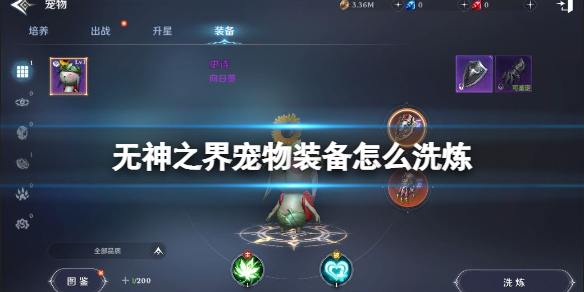 袁立五花肉事件是什么(袁立五花肉什么梗)