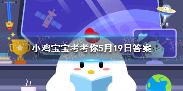wif早教机儿童智能机器人对话