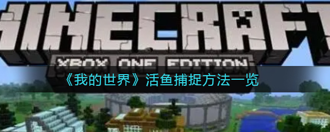 网络用语哈人意思介绍