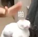 支付宝免密支付关闭方法
