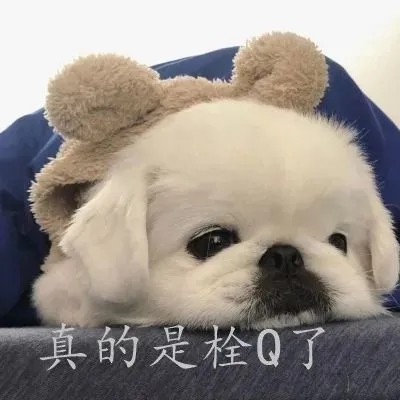 一伦是什么梗