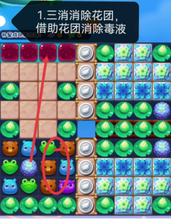网红视频app