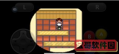 口袋妖怪究极绿宝石5.3二周目攻略 二周目图文通关流程一览