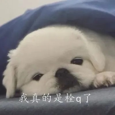 一伦是什么梗