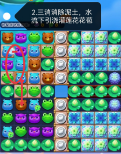网红视频app