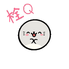 口袋妖怪究极绿宝石5.3二周目攻略 二周目图文通关流程一览