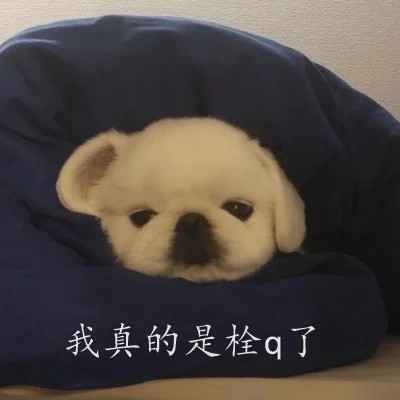 口袋妖怪究极绿宝石5.3二周目攻略 二周目图文通关流程一览