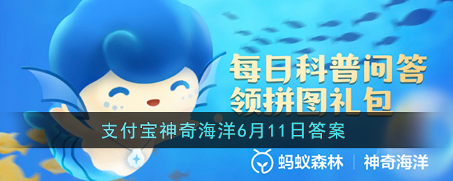 萌宝照相机