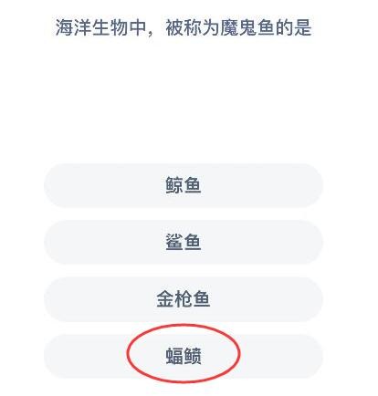 多功能照片修复