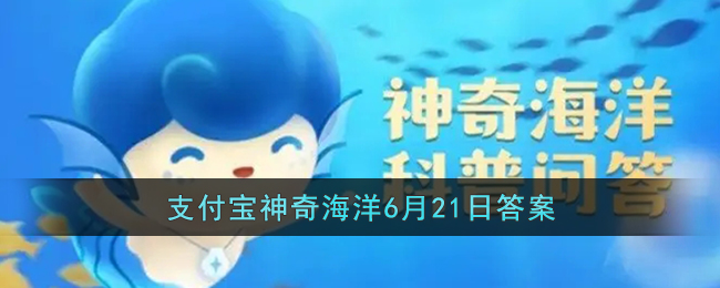 qq在线状态是实时的吗