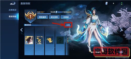 黑色星期五之夜黄金索尼克模组