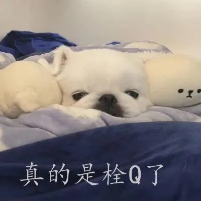 一伦是什么梗