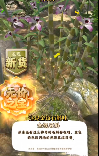 星空演示细节剖析 坏消息缝合怪，好消息全缝了