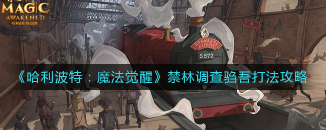 剧情梗传全关卡通关攻略大全