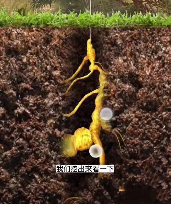 喷气背包飞行