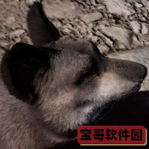 金铲铲之战福星怎么配 金铲铲之战福星阵容搭配推荐