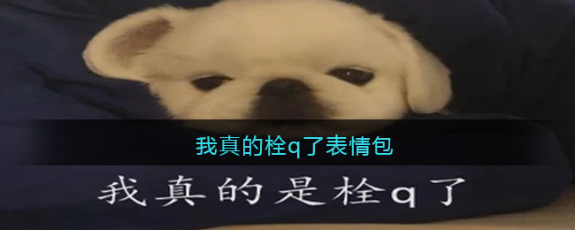 一伦是什么梗