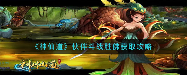 re05cc快猫视频app