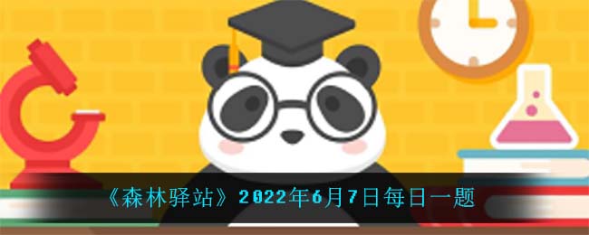 《异次元主公》小熊阵容搭配推荐