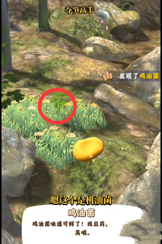 星空演示细节剖析 坏消息缝合怪，好消息全缝了