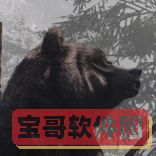金铲铲之战福星怎么配 金铲铲之战福星阵容搭配推荐
