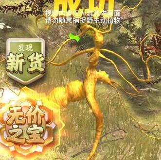 烟雨江湖端午节限定伙伴桃花获得方法