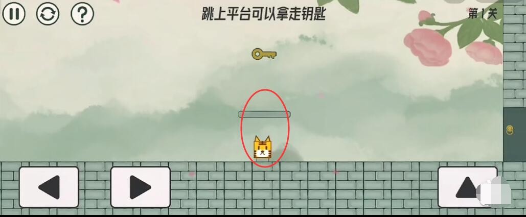 脸都不要了是什么梗 范志毅脸都不要了全文分享