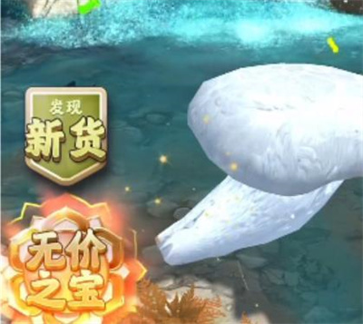 速播直播