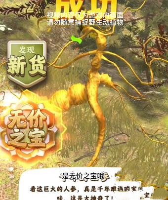 喷气背包飞行