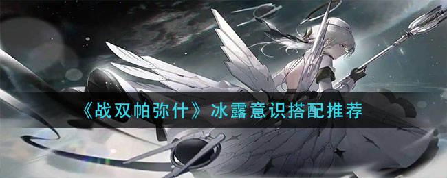 武林闲侠秦飞雪阵容搭配攻略