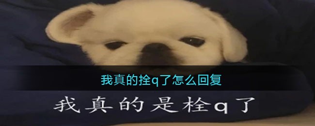 steam电子邮件怎么填