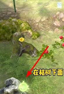 赵立新事件是怎么回事(赵立新事件是什么时候发生的)