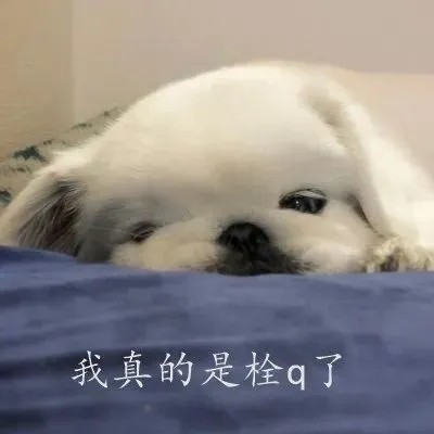 steam电子邮件怎么填