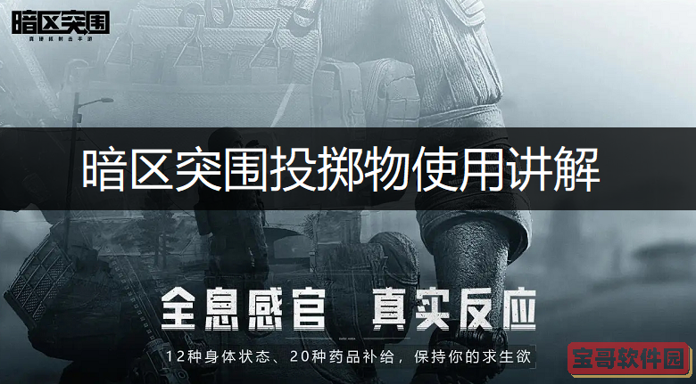 疯狂派对正版