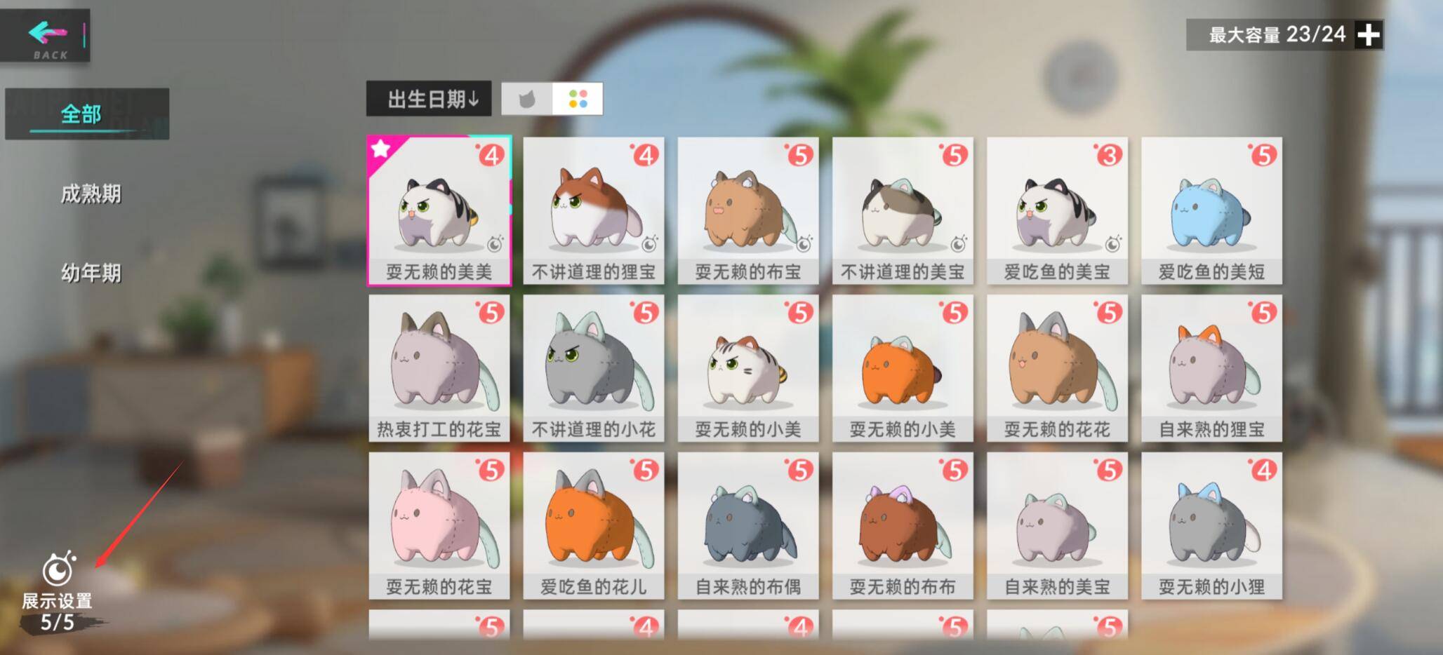 猫之城猫屋中猫球怎么放置