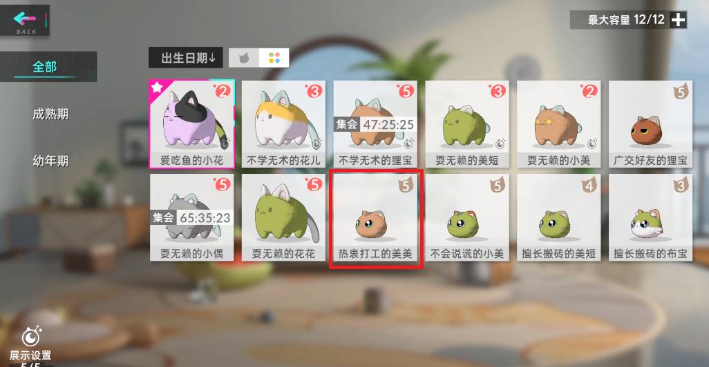 猫之城猫球怎么训练