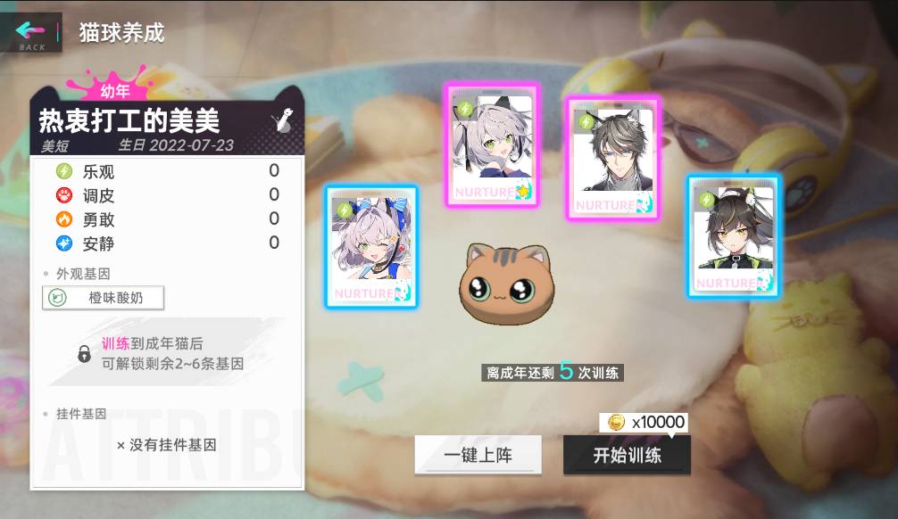 猫之城猫球怎么训练